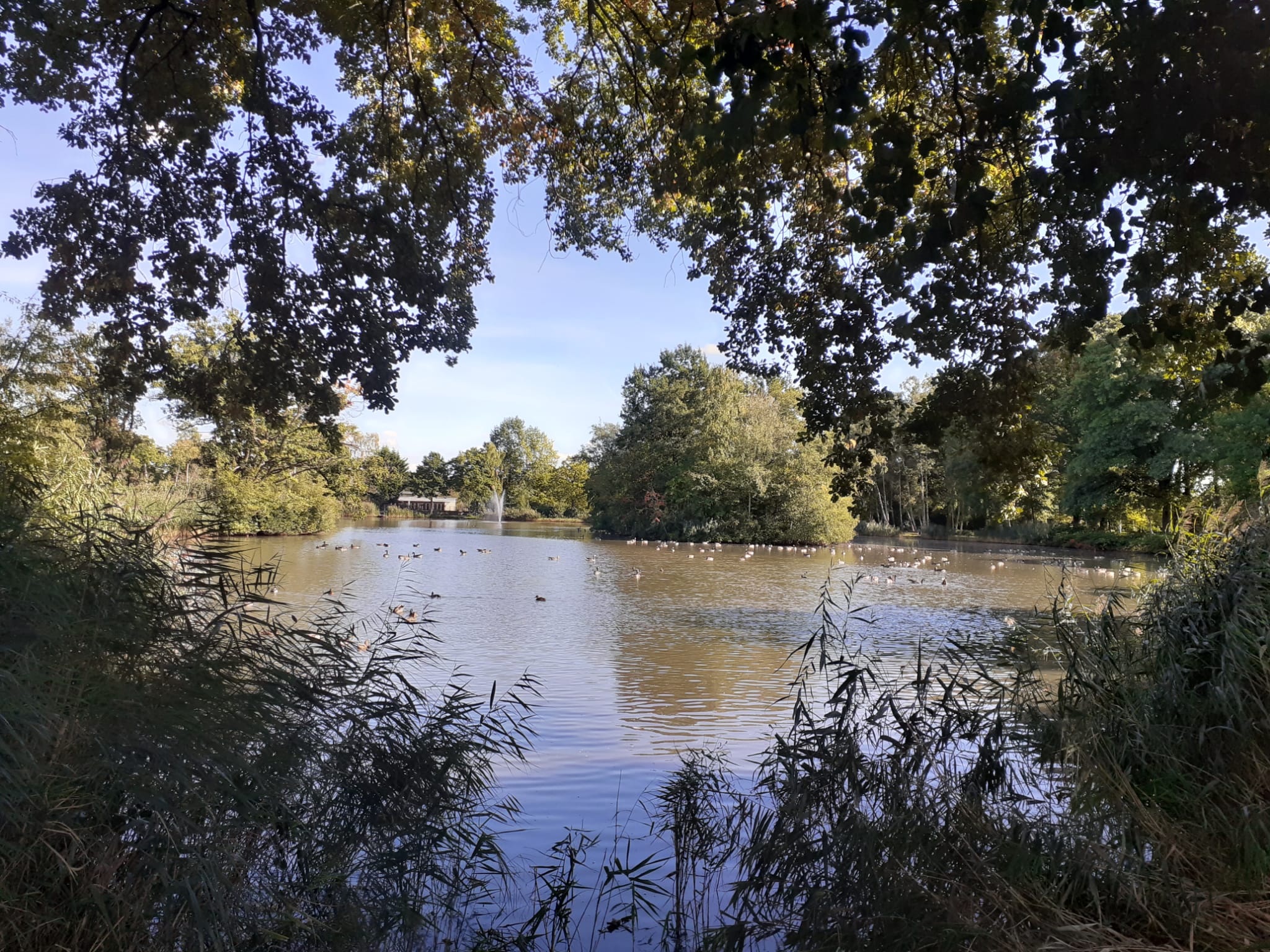 schrijven in de natuur